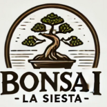 Bonsai La Siesta